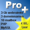 pro+ hosting